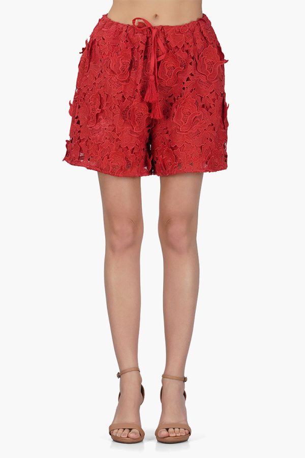 Rose Charm Lace Short - Image 5