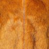 Golden Fox Faux Fur Bomber Jacket - Image 5